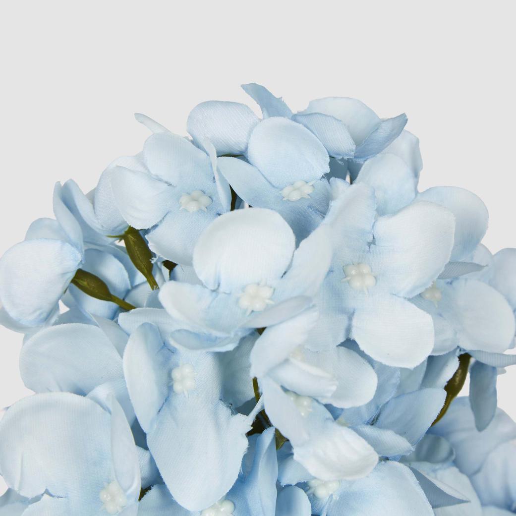 Light Blue Cone Hydrangea 93cm