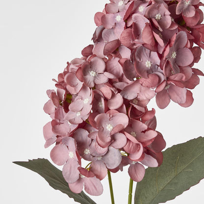 Dark Pink Cone Hydrangea 93cm