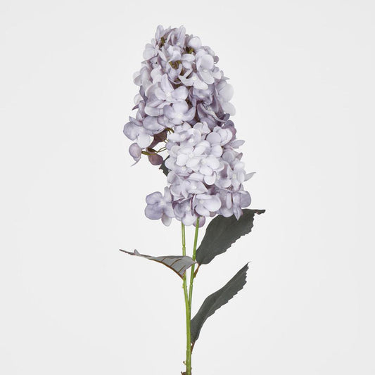 Lavender Cone Hydrangea 93cm