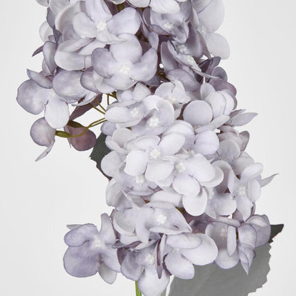 Lavender Cone Hydrangea 93cm