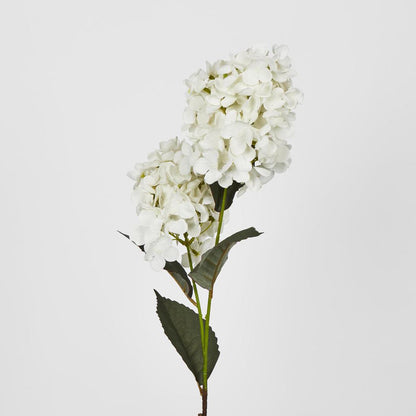 White Cone Hydrangea 93cm