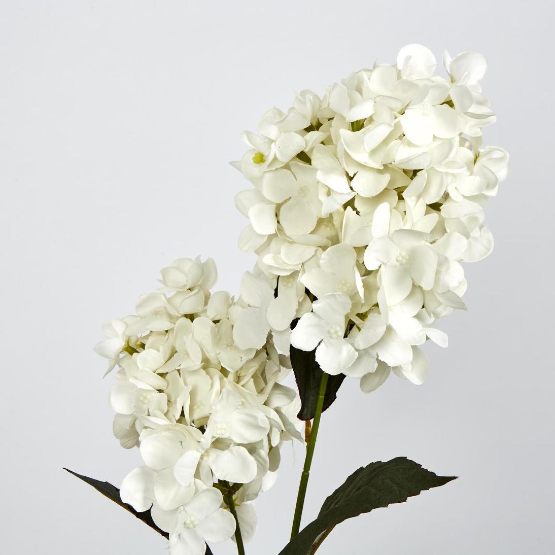 White Cone Hydrangea 93cm