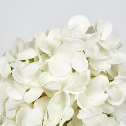 White Cone Hydrangea 93cm