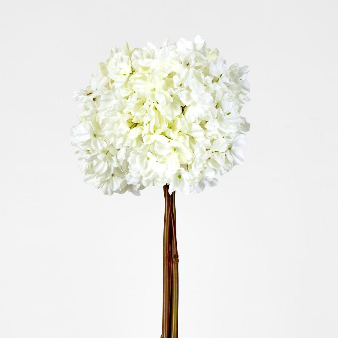Dried White Hydrangea x 3 Bundle