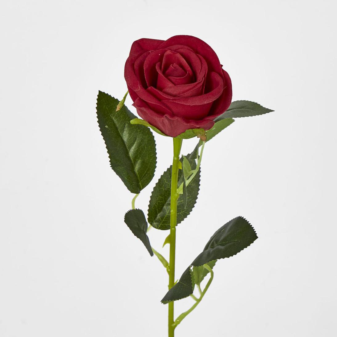 Red Rose Stem | JMC Florals – Florabelle Living