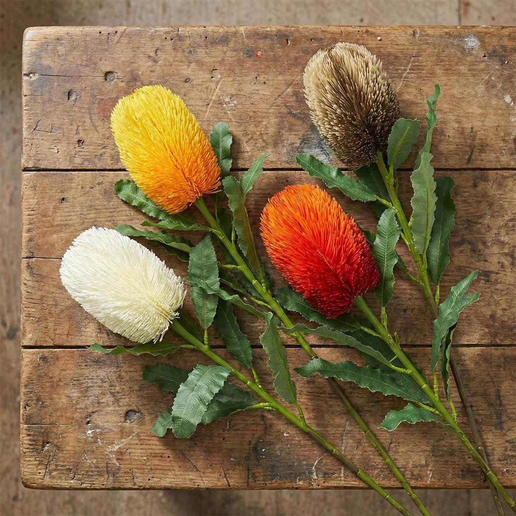 Banksia Stem White