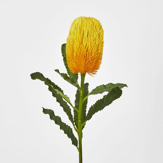 Banksia Stem Yellow