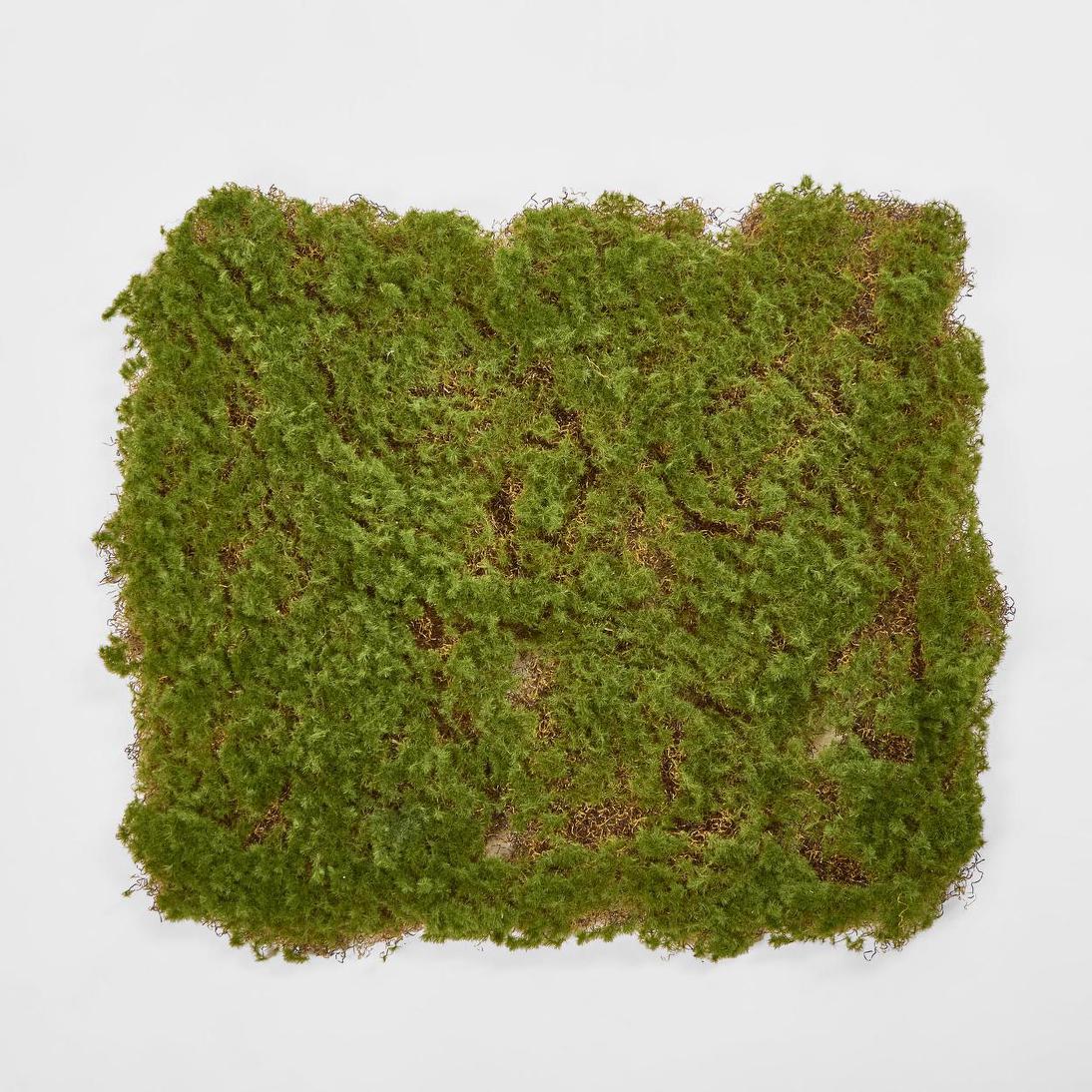 Moss Mat 50x50cm