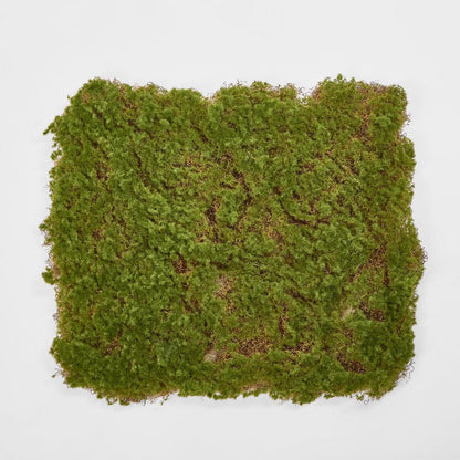 Moss Mat 50x50cm