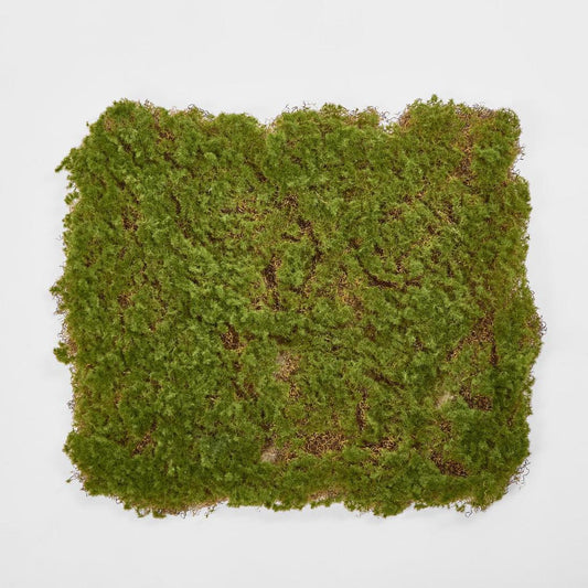 Moss Mat 50x50cm