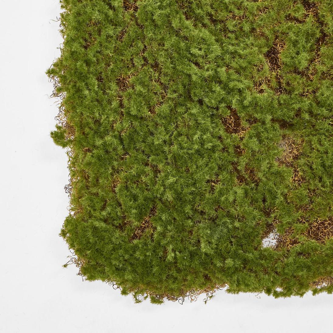 Moss Mat 50x50cm