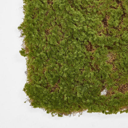 Moss Mat 50x50cm