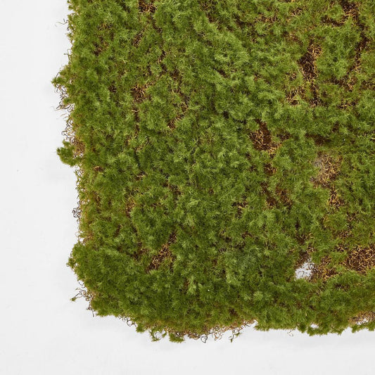 Moss Mat 50x50cm