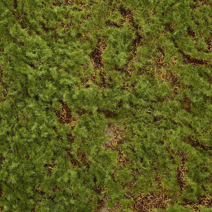 Moss Mat 50x50cm
