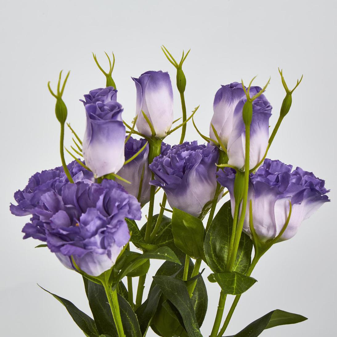 Lisianthus Bundle with Buds Purple