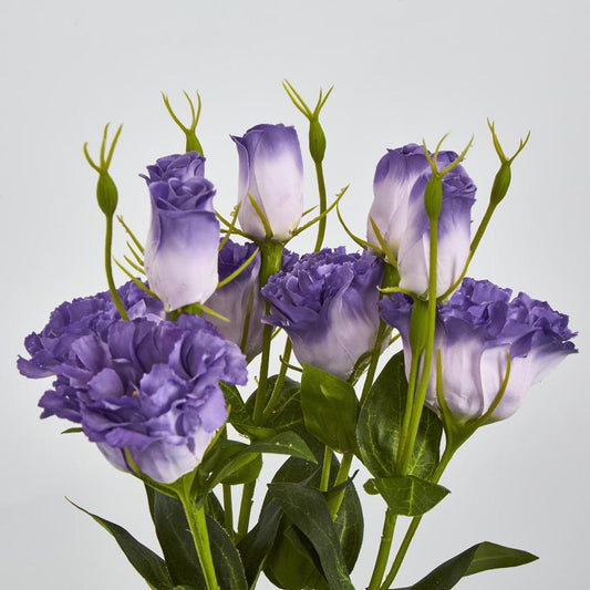 Lisianthus Bundle with Buds Purple