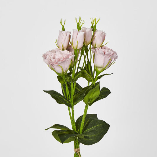 Lisianthus Bundle with Buds Pink