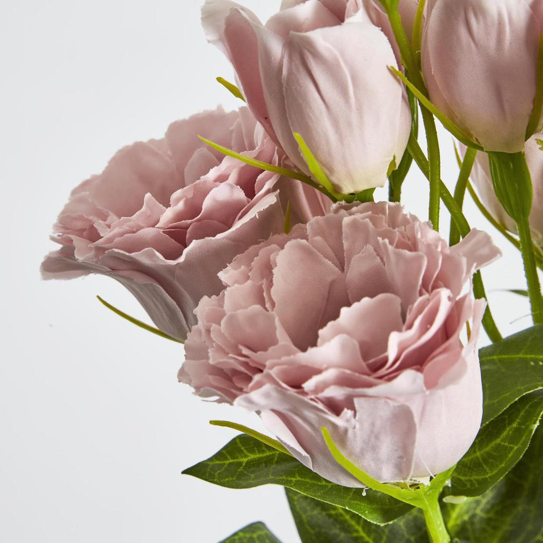 Lisianthus Bundle with Buds Pink