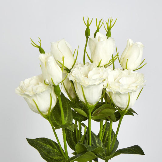 Lisianthus Bundle with Buds White
