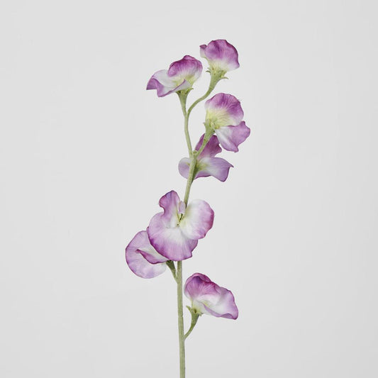 Sweetpea Pink