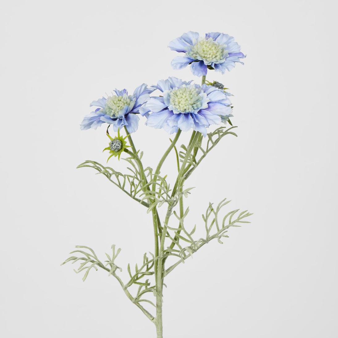 Scabiosa Spray with Buds Light Blue