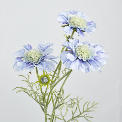 Scabiosa Spray with Buds Light Blue