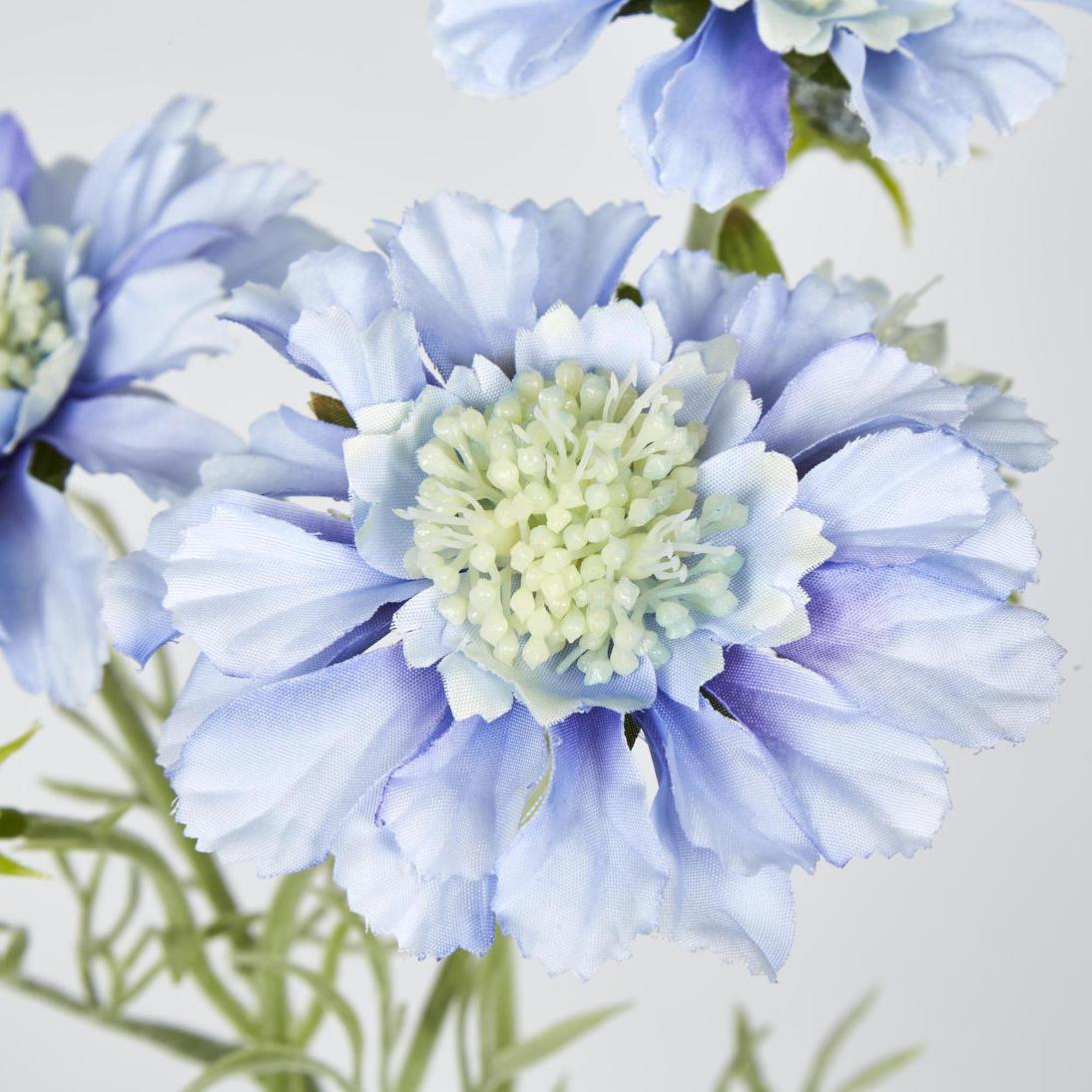 Scabiosa Spray with Buds Light Blue