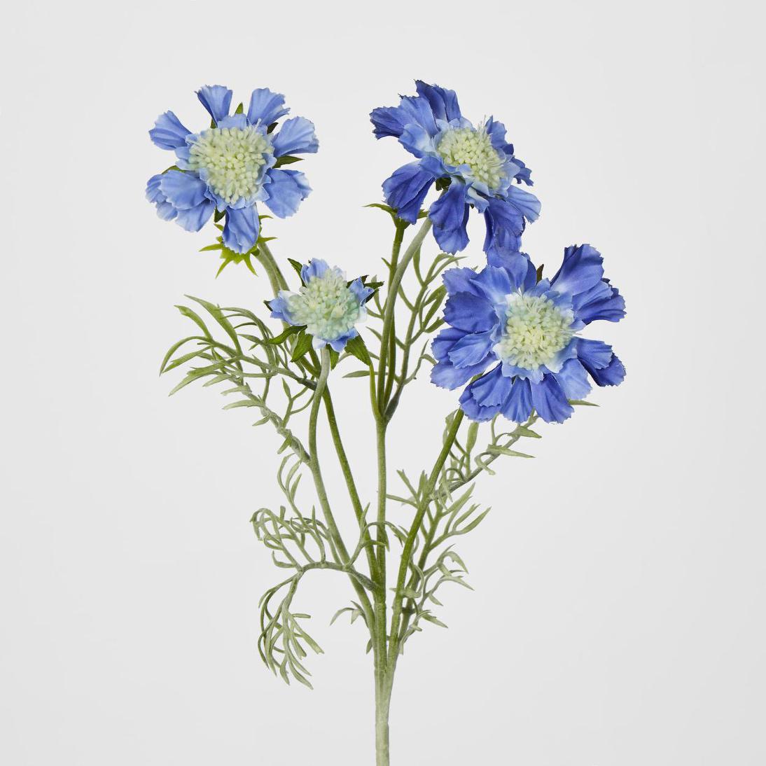 Scabiosa Spray with Buds Dark Blue