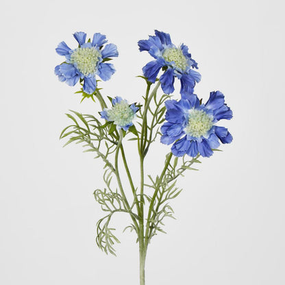Scabiosa Spray with Buds Dark Blue