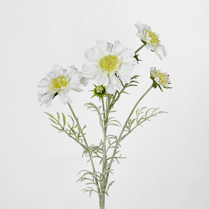 Scabiosa Spray with Buds White