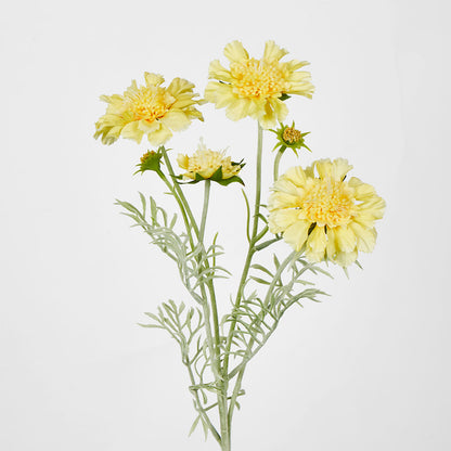 Scabiosa Spray with Buds Yellow