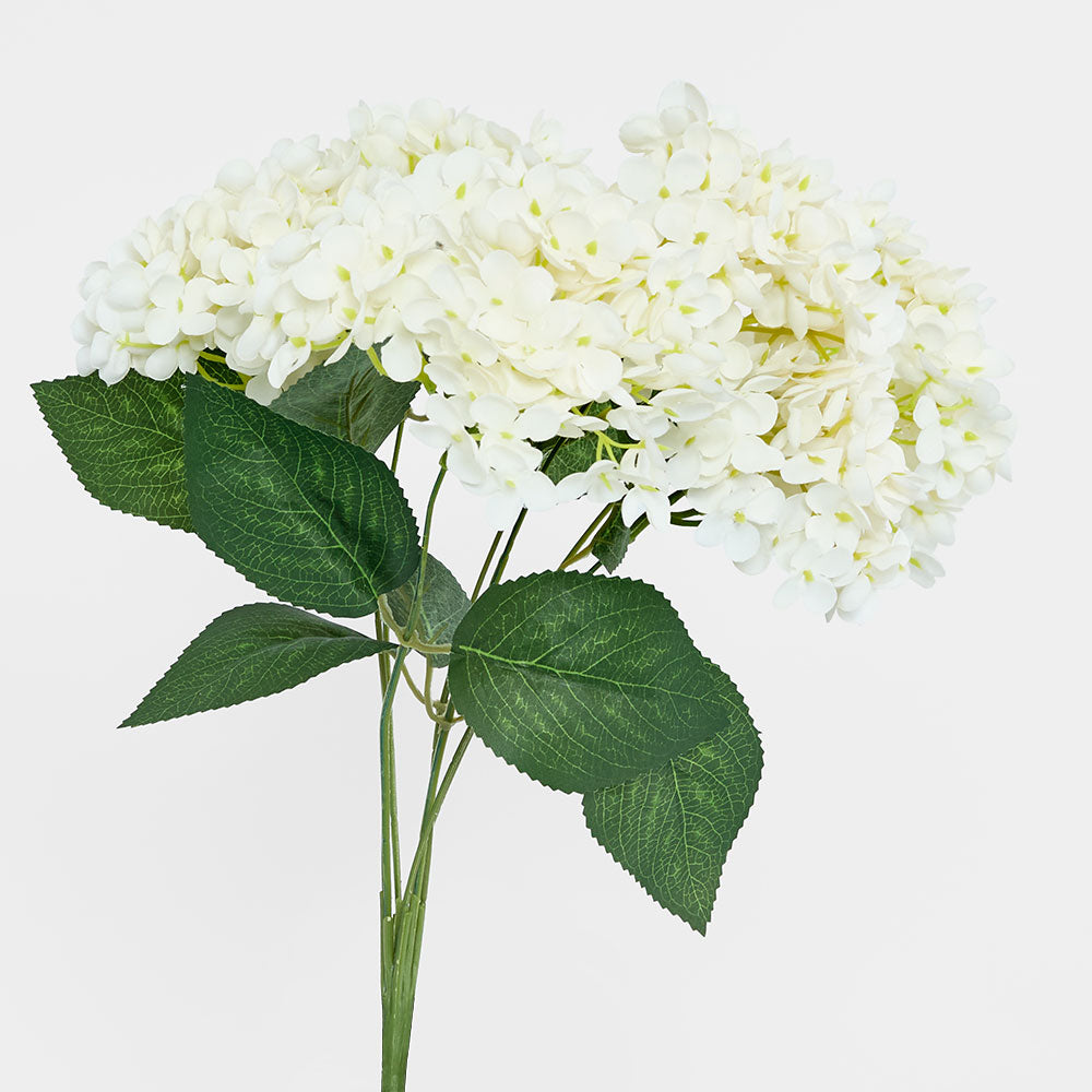 Hydrangea Bush with 7 Heads White