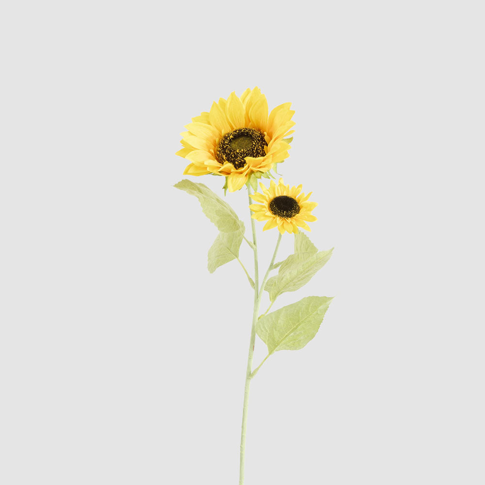 Sunflower Stem With 2 Heads
