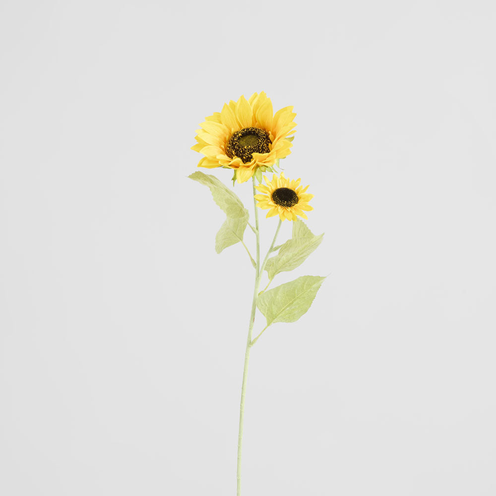 Sunflower Stem With 2 Heads