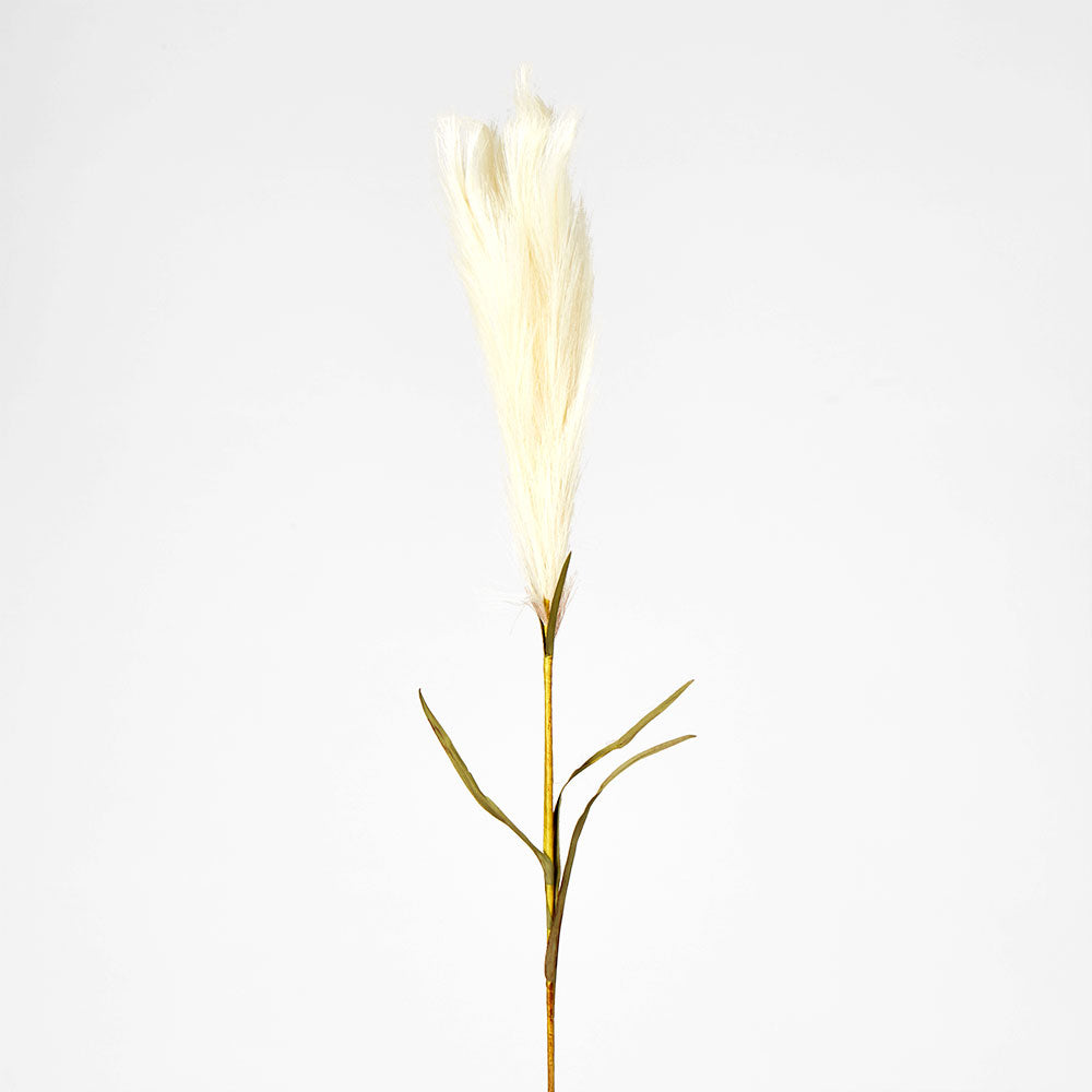 Pampas