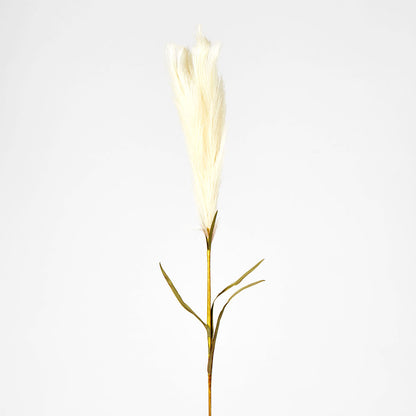 Pampas