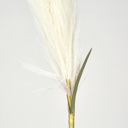Pampas