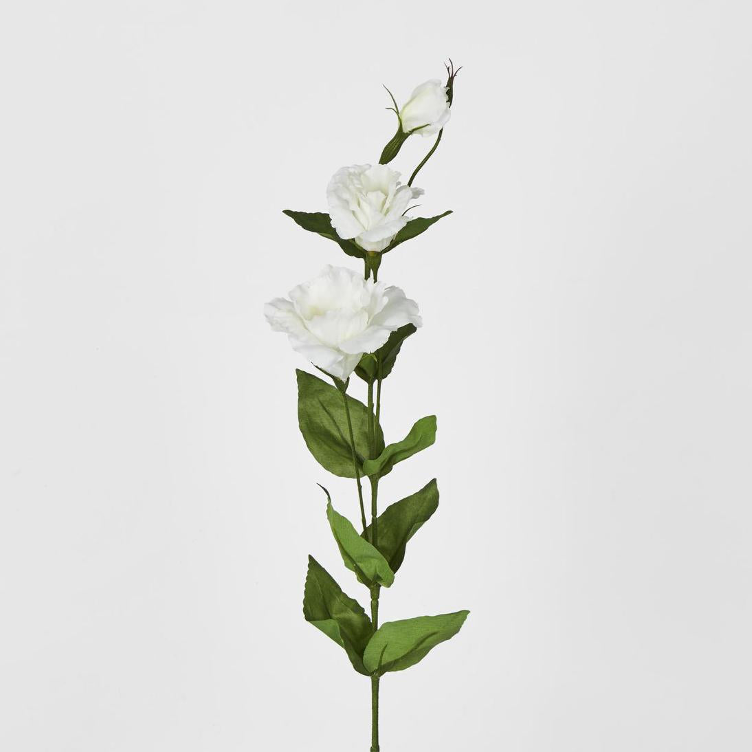 Lisianthus Spray White