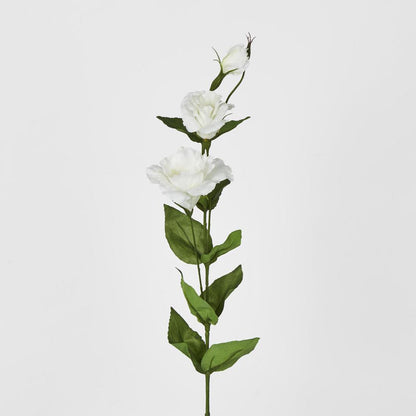 Lisianthus Spray White