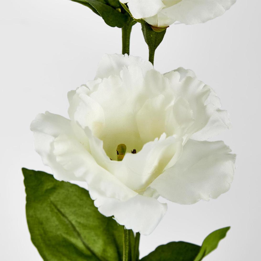 Lisianthus Spray White