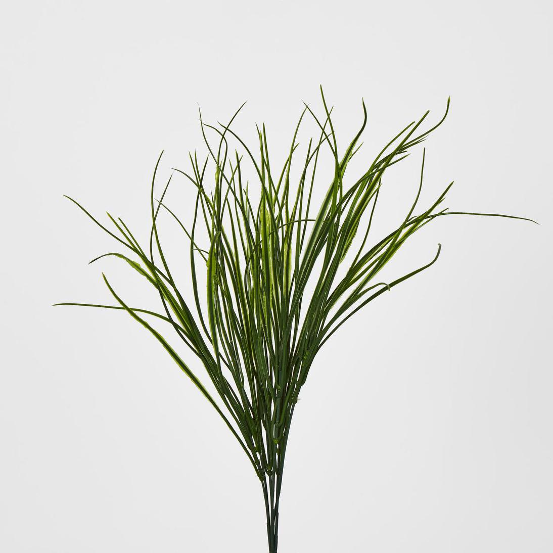 Grass Bush Green