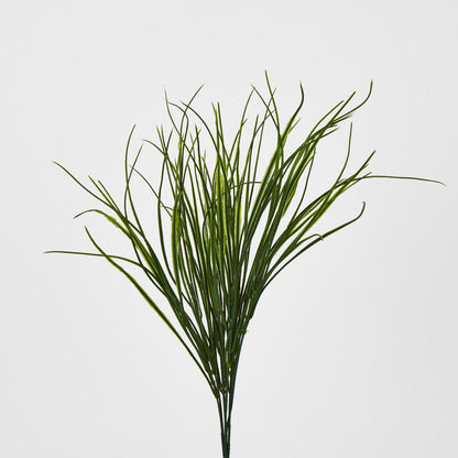 Grass Bush Green