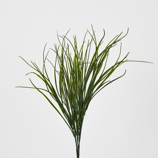Grass Bush Green