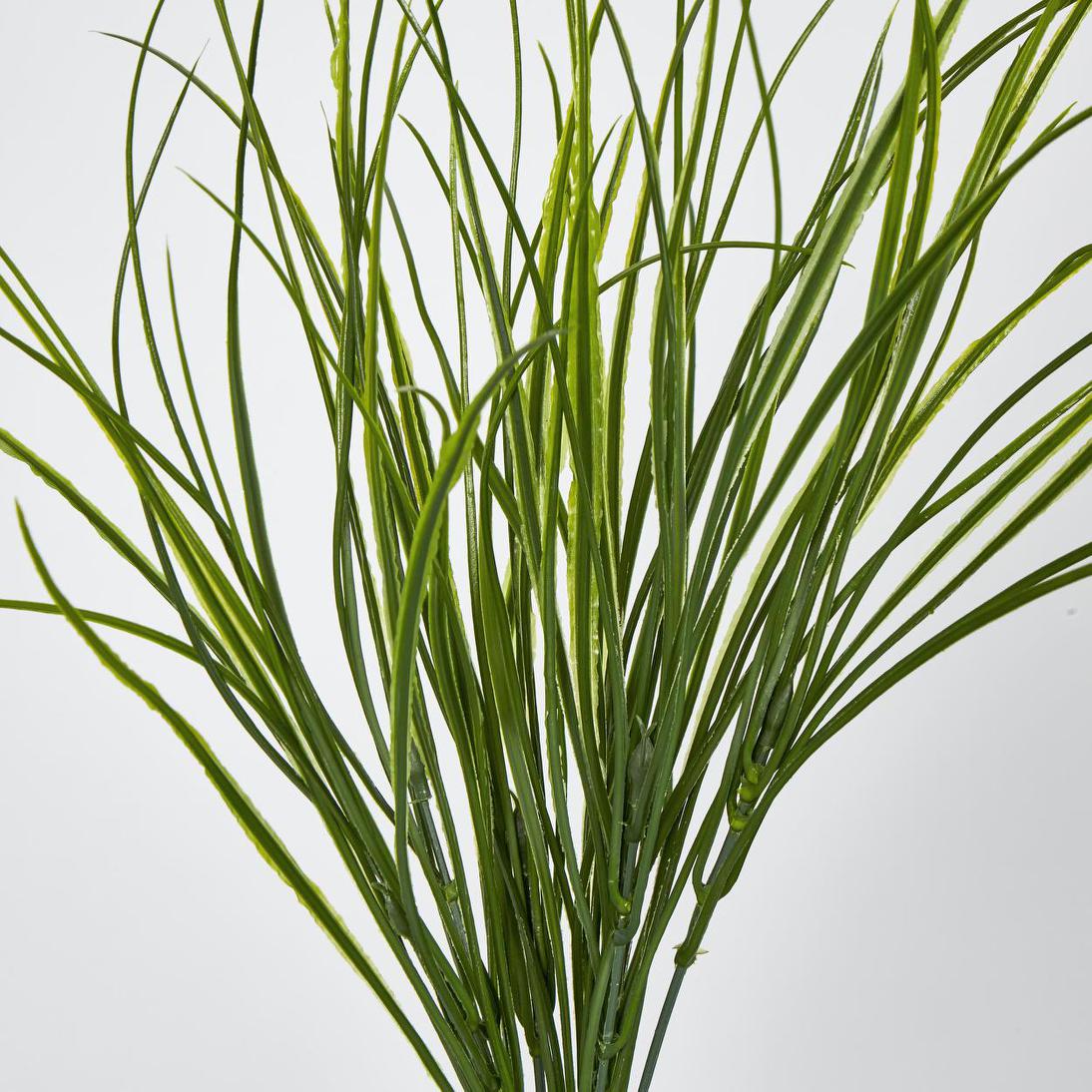 Grass Bush Green