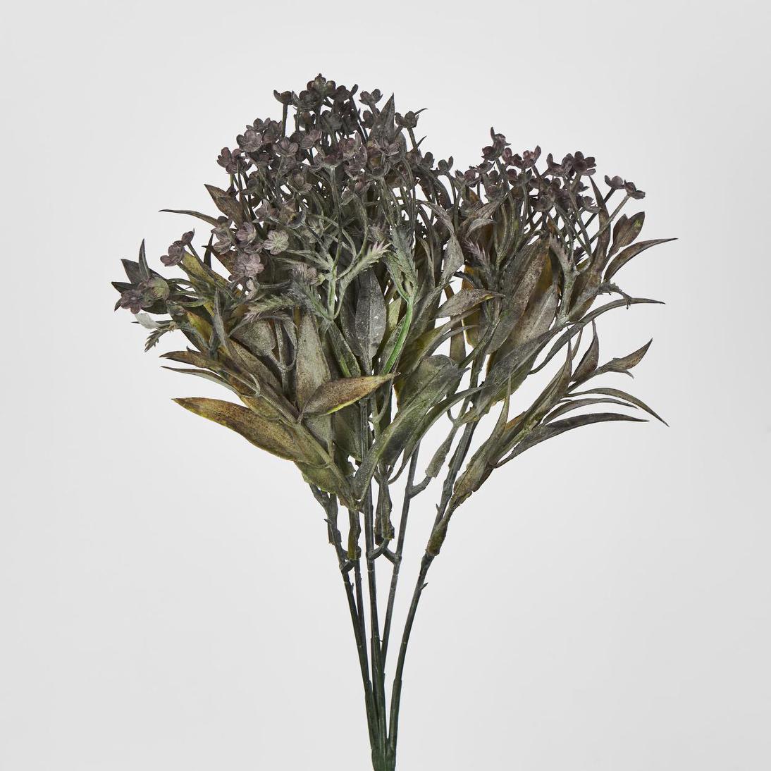 Daisy Bush Mini Black