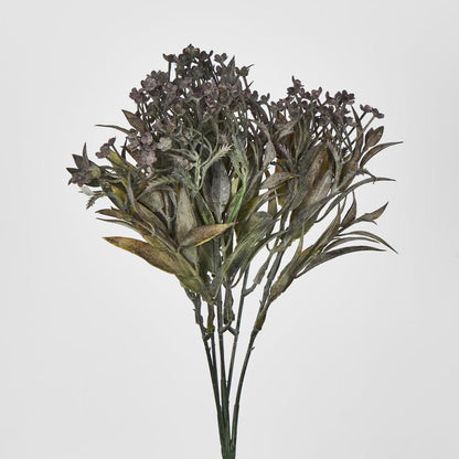 Daisy Bush Mini Black