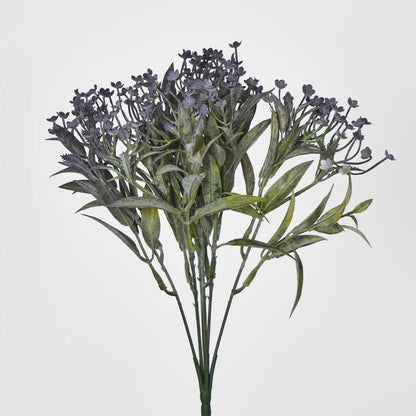 Daisy Bush Mini Purple