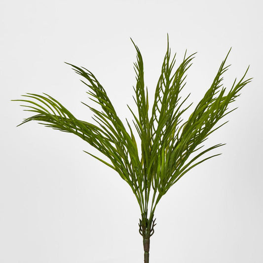 Palm Fern Bush Green