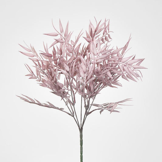 Bamboo Leaf Bush Dark Pink