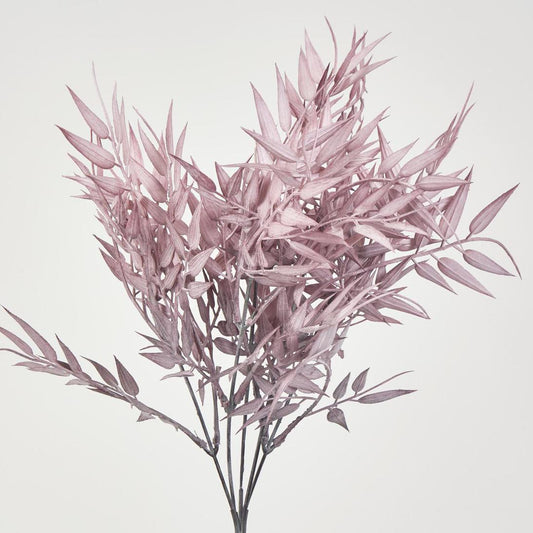 Bamboo Leaf Bush Dark Pink